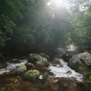 선인축산 이미지