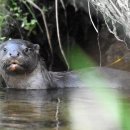 금호강7 이미지