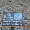 초록지기마을 이미지