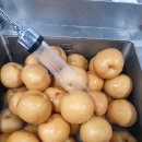 순수배즙 할인 판매 합니다 이미지