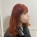 양소원 Daum카페