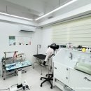 댕복한하루 이미지