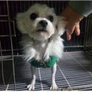 영도동물병원 이미지