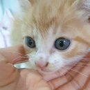 학익동물병원 이미지