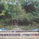 삼밭골 이미지