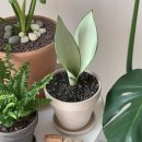 달빛온도 이미지