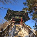 반구정습지 이미지