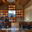 경주 황리단길 바이닐바이브 한옥뷰 LP카페 경주 놀거리
