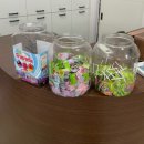 준헤어 | [대전키즈미용실] 프롬준헤어, 아이랑 방문후기💈