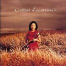 꽃별하얀 이미지