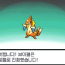 호수체육관 이미지