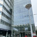 양현로 | 분당밝은웨딩홀 추천｜천고 높은 하우스웨딩 더 바실리움 직접 다녀온 투어후기