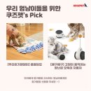 개웃기냥