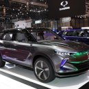 쌍용종합카 이미지