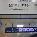 동해바다 1 | 묵호 1박2일 혼여행 후기 - 동해바다게스트하우스, 라운드어바웃 등