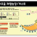 아이조움체험농장