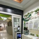 해뜨는유치원 이미지