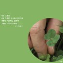 참사랑 - 김제시 | 참사랑