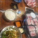 냉삼냉삼