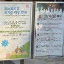 작은불꽃 | [여수 여행] 여수 미남크루즈 불꽃쇼 관람 후기