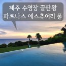 풀 | 제주 파르나스호텔 에스추어리 풀 후기｜예약 방법, 이용 시간, 사진 포인트