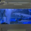 파란 노래연습장 이미지