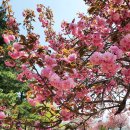 화수공원 이미지