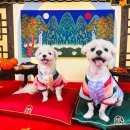 하률로12번길 이미지