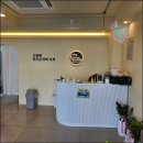 라이프독 강릉점 24시 강아지분양 고양이분양 | 라이프독 강릉점 24시 강아지 고양이애견샵 방문후기