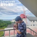 꿈꾸는풍차 이미지