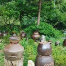 데미샘호수펜션 | ★ 전북여행 : 진안군 / 데미샘가든, 데미샘 호수펜션