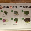 3.9대패 이미지