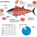 이노참치 - 종로구 삼일대로15길 20-1 | 이노참치
