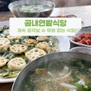 부산 기장 쫄깃한 수제비와 아삭한 연부침개 맛집 곰내연밭식당
