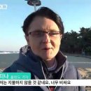 방값을 내린 평창올림픽 주변 펜션 근황 이미지