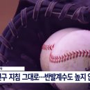 SBS KBO 관계자 “공인구 지침 그대로... 반발계수도 높지 않아” 이미지