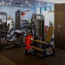 렉스피트니스