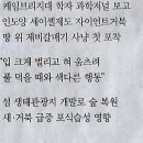 갈매기나라 이미지