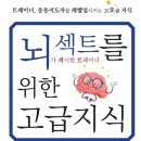 비엠더인 이미지