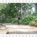 정선목장 이미지