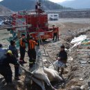 금대리목장 이미지