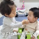 함월다방 | 생후 931일, 171일 용윤형제의 육아일기