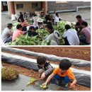 인지초교 이미지