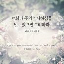 맛보아 - 제주시 | 맛보아
