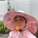 갯내음2 민박 네이버블로그
