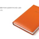 백호마미 이미지