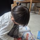 김포 어린이서점 <북스북스> 그레이트북스, 아람 유아전집 구매후기 (#비대면 #인천이음 #어린이날선물)