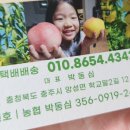 박여사네 티스토리