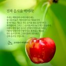 무제 시편52 이미지