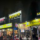 속초 동명항 포차거리 야장 오징어 회 맛집 해바라기포장마차